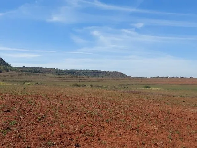 Imagem 7: Excelente fazenda para lavoura a venda na região do Prata-MG com 250 hectares sendo 180