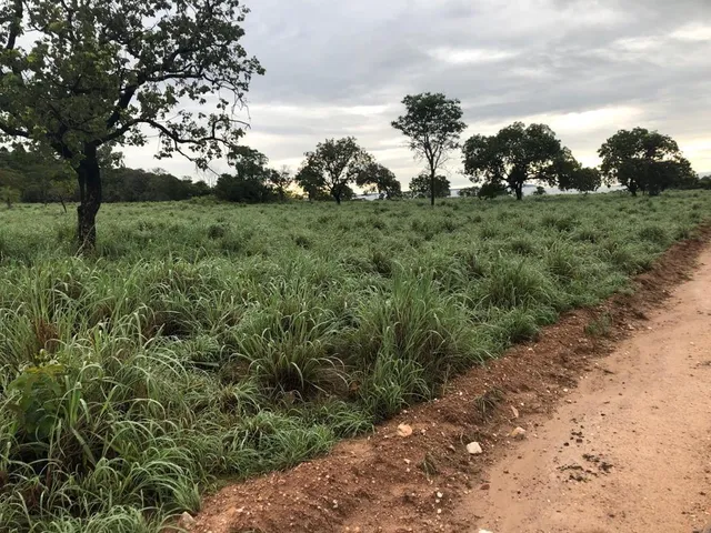 Imagem 2: Fazenda RURAL em Monte Alegre de Goiás - Goiás