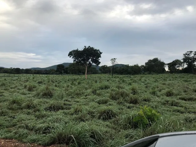 Imagem 4: Fazenda RURAL em Monte Alegre de Goiás - Goiás