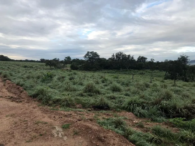 Imagem 3: Fazenda RURAL em Monte Alegre de Goiás - Goiás