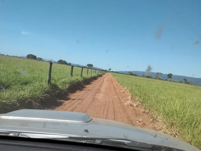 Imagem 2: Fazenda para venda na região de Planaltina-GO com 4.600 hectares sendo 3.500 hectares em