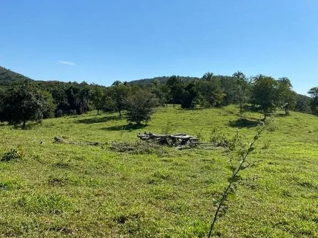 Imagem 4: Fazenda dupla aptidão para venda em Paracatu-MG com 212 hectares sendo 70 hectares