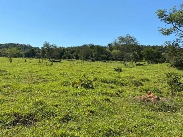 Imagem 5: Fazenda dupla aptidão para venda em Paracatu-MG com 212 hectares sendo 70 hectares