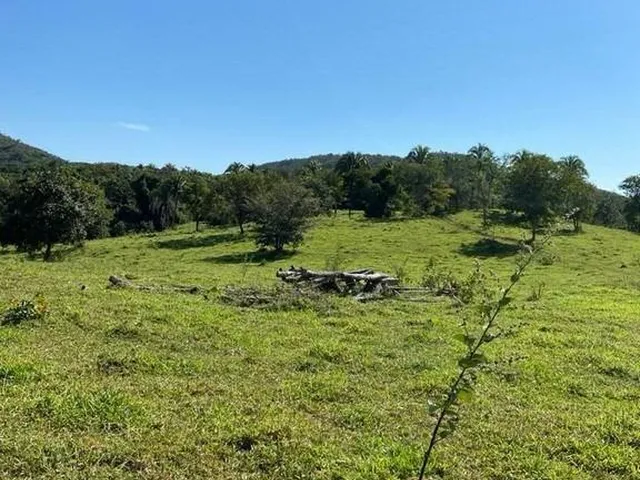 Imagem 11: Fazenda dupla aptidão para venda em Paracatu-MG com 212 hectares sendo 70 hectares