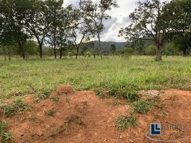 Imagem 2: Fazenda dupla aptidão para venda em Paracatu-MG com 212 hectares sendo 70 hectares