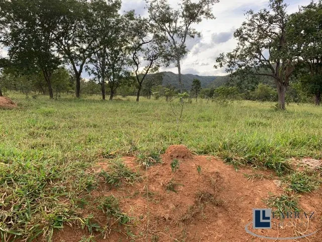 Imagem 6: Fazenda dupla aptidão para venda em Paracatu-MG com 212 hectares sendo 70 hectares