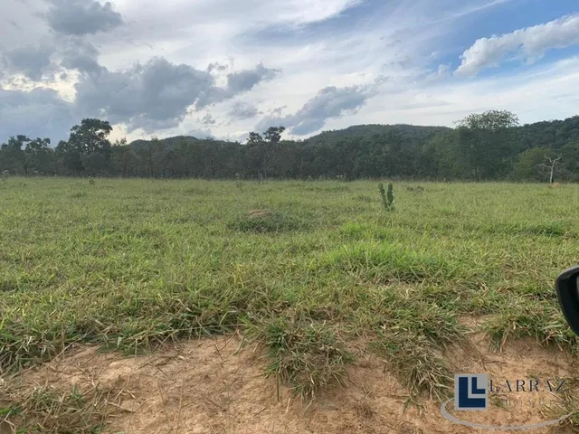 Imagem 9: Fazenda dupla aptidão para venda em Paracatu-MG com 212 hectares sendo 70 hectares