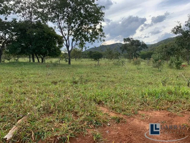 Imagem 12: Fazenda dupla aptidão para venda em Paracatu-MG com 212 hectares sendo 70 hectares
