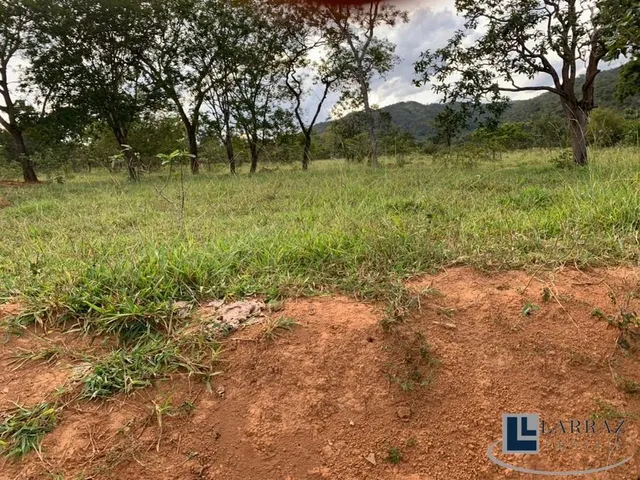 Imagem 10: Fazenda dupla aptidão para venda em Paracatu-MG com 212 hectares sendo 70 hectares