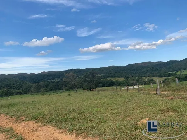 Imagem 15: Fazenda dupla aptidão para venda em Paracatu-MG com 212 hectares sendo 70 hectares