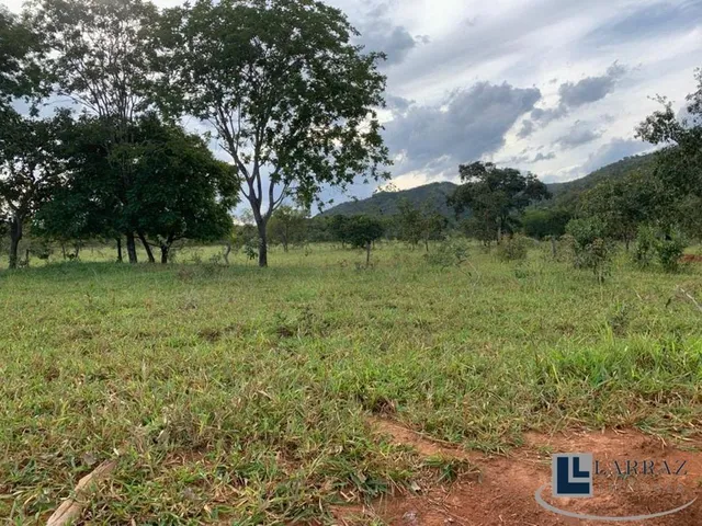 Imagem 7: Fazenda dupla aptidão para venda em Paracatu-MG com 212 hectares sendo 70 hectares