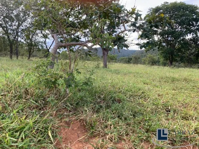 Imagem 14: Fazenda dupla aptidão para venda em Paracatu-MG com 212 hectares sendo 70 hectares