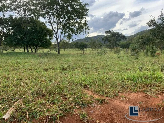 Imagem 3: Fazenda dupla aptidão para venda em Paracatu-MG com 212 hectares sendo 70 hectares