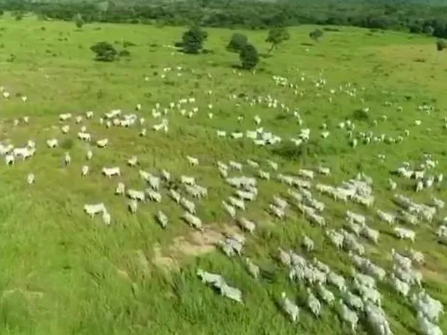 Imagem: Fazenda RURAL em Damianópolis - Goiás