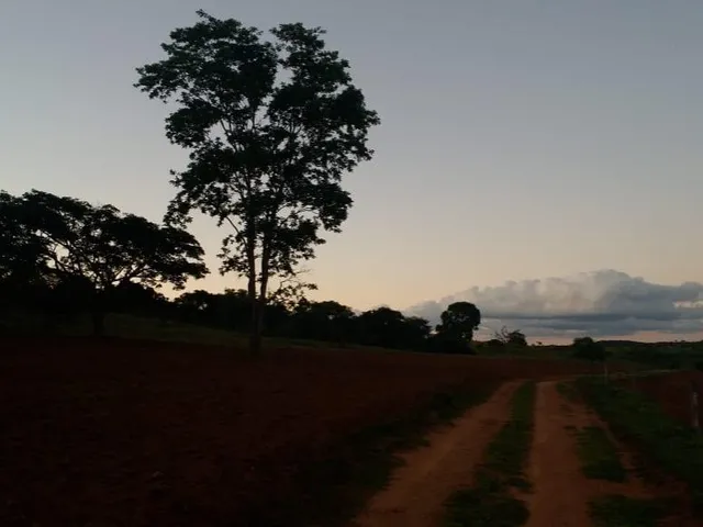 Imagem 7: Fazenda para venda em Uberaba com 240,7627hectares, 3 otimas casas, nascentes, córrego e