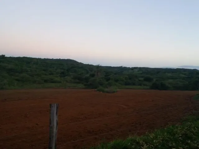 Imagem 9: Fazenda para venda em Uberaba com 240,7627hectares, 3 otimas casas, nascentes, córrego e