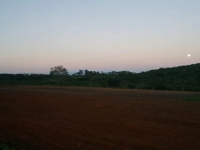 Imagem 4: Fazenda para venda em Uberaba com 240,7627hectares, 3 otimas casas, nascentes, córrego e