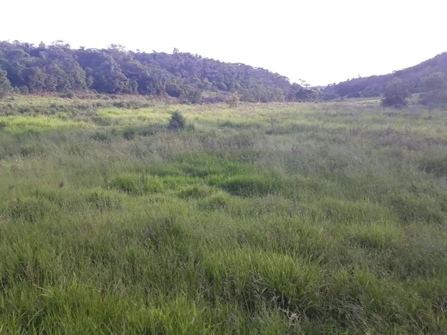 Imagem 4: Excelente fazenda tripla aptidão para venda na região de Teofilo Otoni-MG, com 420