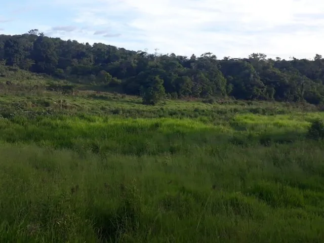 Imagem 9: Excelente fazenda tripla aptidão para venda na região de Teofilo Otoni-MG, com 420