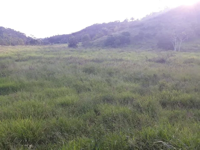 Imagem 10: Excelente fazenda tripla aptidão para venda na região de Teofilo Otoni-MG, com 420