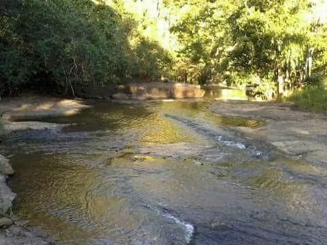Imagem 14: Excelente fazenda tripla aptidão para venda na região de Teofilo Otoni-MG, com 420