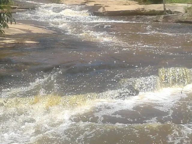 Imagem 8: Excelente fazenda tripla aptidão para venda na região de Teofilo Otoni-MG, com 420