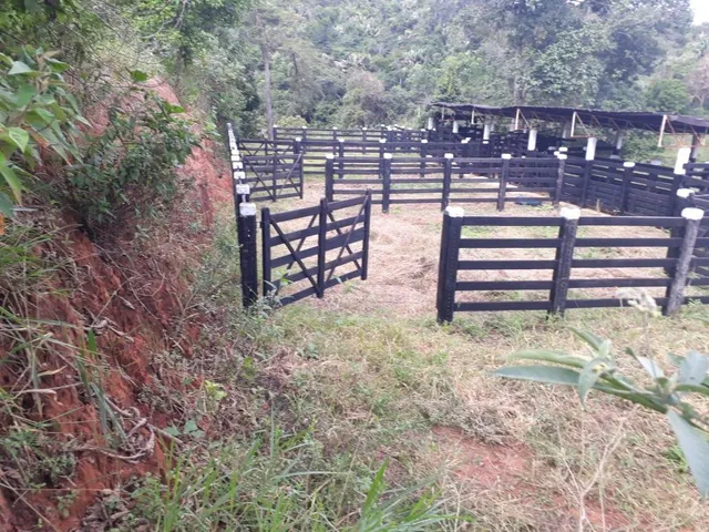 Imagem 11: Excelente fazenda tripla aptidão para venda na região de Teofilo Otoni-MG, com 420