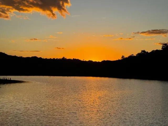 Imagem 2: Excelente fazenda de patrão para venda na região de Uberaba com 500 hectares, pecuária