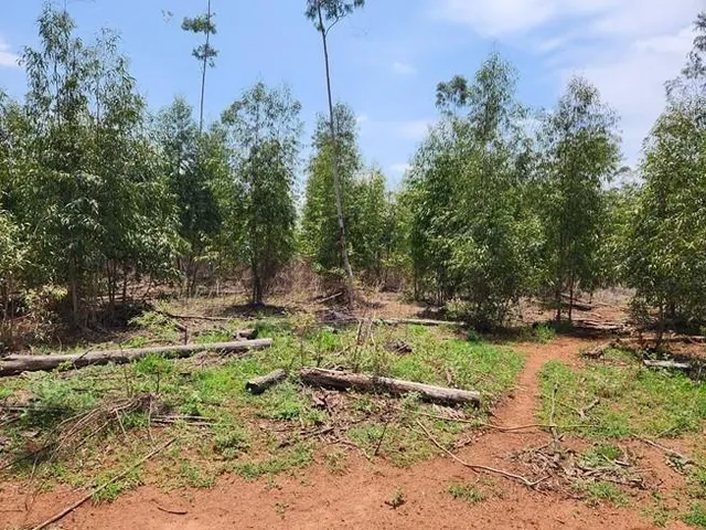 Imagem 2: 0 Fazenda / sítio com venda por R$36.000.000