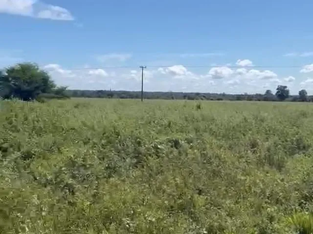 Imagem 4: Fazenda RURAL em Uirapuru - Goiás
