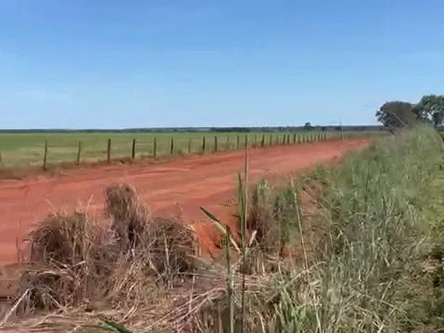 Imagem 6: Fazenda RURAL em Uirapuru - Goiás