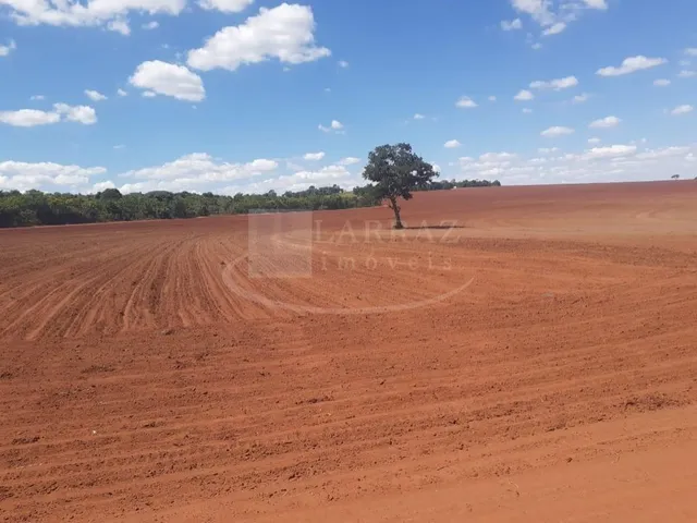 Imagem 2: Fazenda para venda na regiao de Uberlandia-MG, com 91 alqueirao sendo 68 alqueirao em