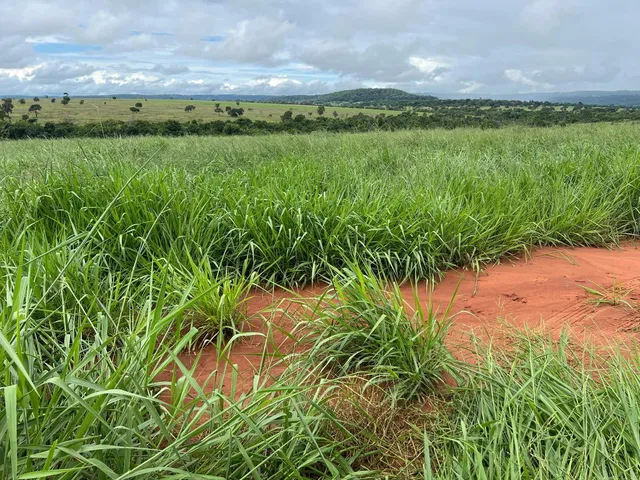 Imagem: