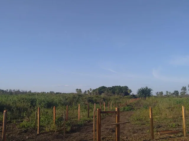 Imagem 4: 0 Fazenda / sítio com venda por R$20.500.000