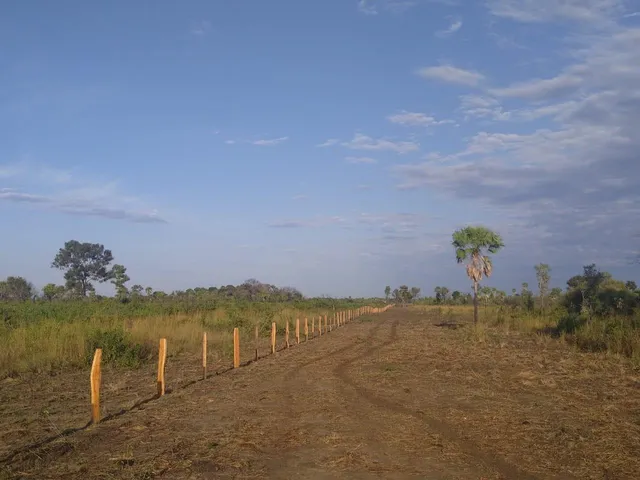 Imagem 3: 0 Fazenda / sítio com venda por R$20.500.000