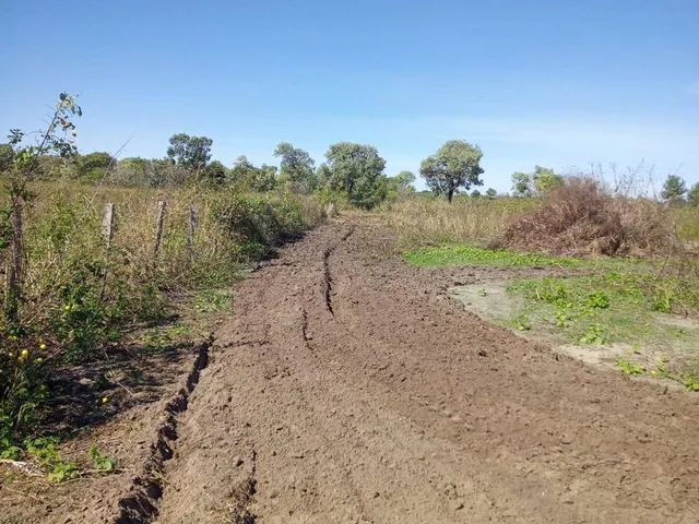 Imagem 5: 0 Fazenda / sítio com venda por R$20.500.000