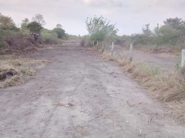 Imagem 6: 0 Fazenda / sítio com venda por R$20.500.000