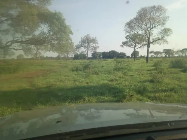 Imagem 7: 0 Fazenda / sítio com venda por R$20.500.000