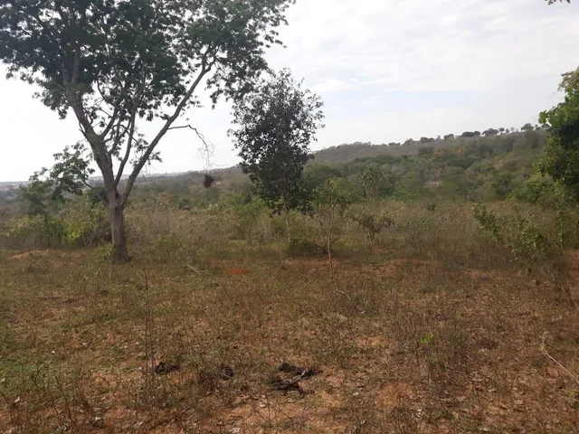 Imagem 3: 0 Fazenda / sítio com venda por R$4.686.000