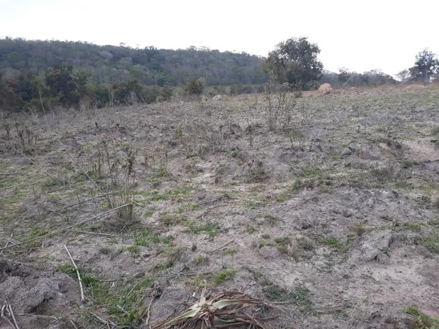 Imagem 2: 0 Fazenda / sítio com venda por R$4.686.000