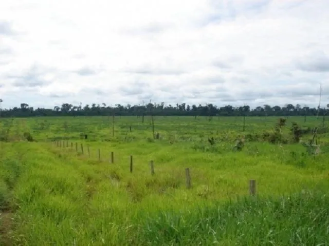 Imagem: A fazenda possui 1 Dormitório, 58.264m² de Área, Imóvel