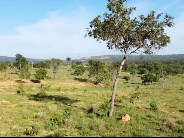 Imagem: Fazenda RURAL em Biquinhas - Minas Gerais
