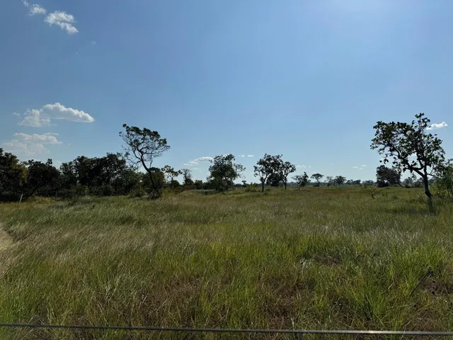 Imagem: Fazenda para venda na região de Bom Jesus