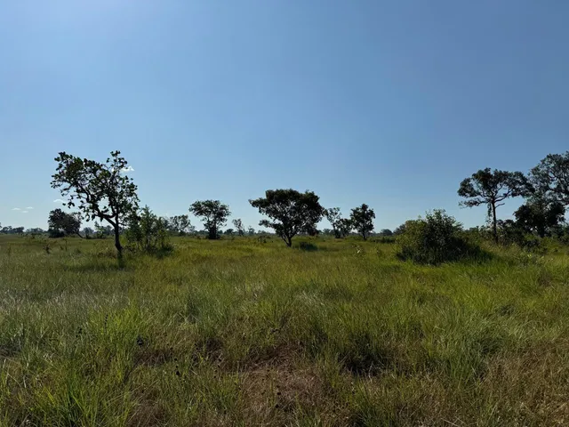 Imagem 2: Fazenda para venda na região de Bom Jesus do Araguaia-MT com 997 hectares sendo 400