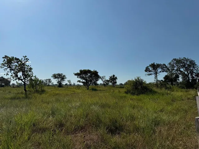 Imagem 3: Fazenda para venda na região de Bom Jesus do Araguaia-MT com 997 hectares sendo 400
