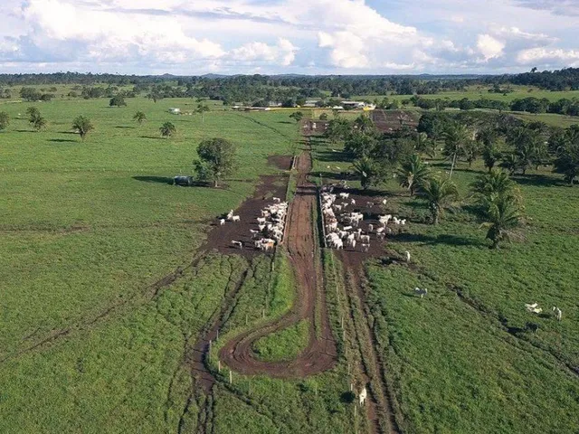 Imagem: A fazenda possui 4 Dormitórios, 4 Suítes, 785m² de