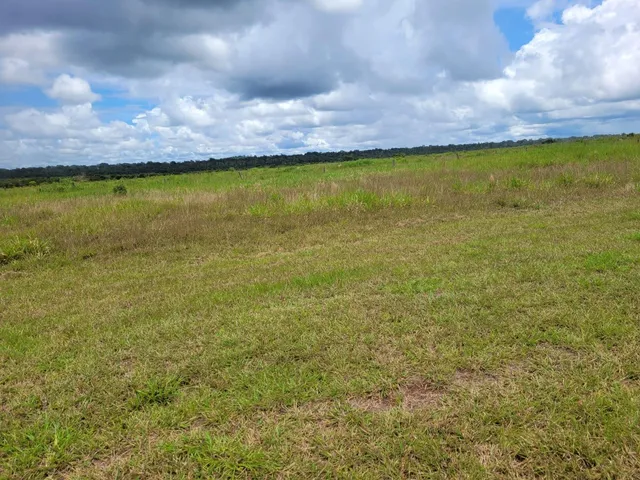 Imagem: Fazenda RURAL em Matupá - Mato Grosso