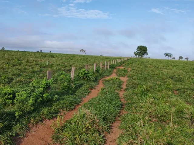 Imagem 2: Fazenda RURAL em São José do Rio Claro - Mato Grosso