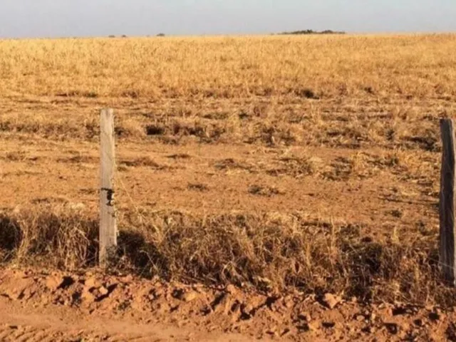Imagem 10: Fazenda RURAL em Porto Alegre do Norte - Mato Grosso