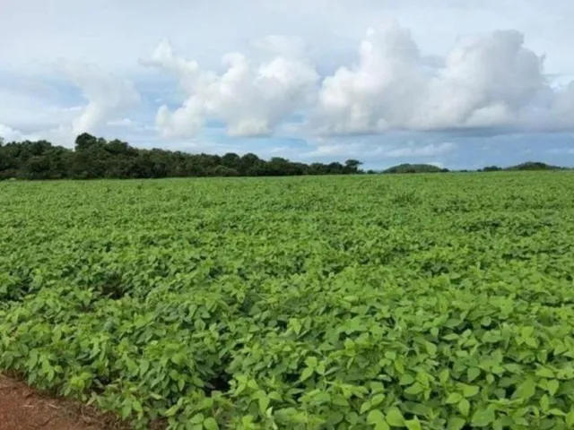 Imagem 6: Fazenda RURAL em Porto Alegre do Norte - Mato Grosso